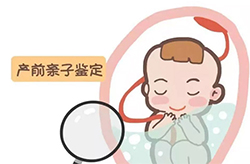 南充怀孕15周如何做无创孕期亲子鉴定，在南充做无创孕期亲子鉴定价格